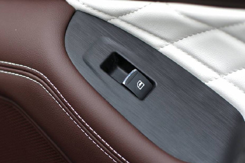 GWM POER Drivers Side In Side Door Controls