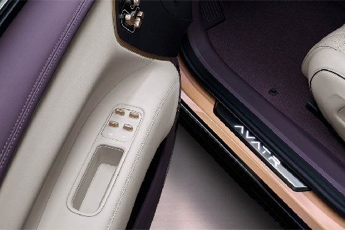 AVATR 11 Drivers Side In Side Door Controls