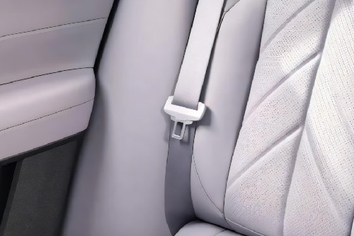 EC6 Seat Belt