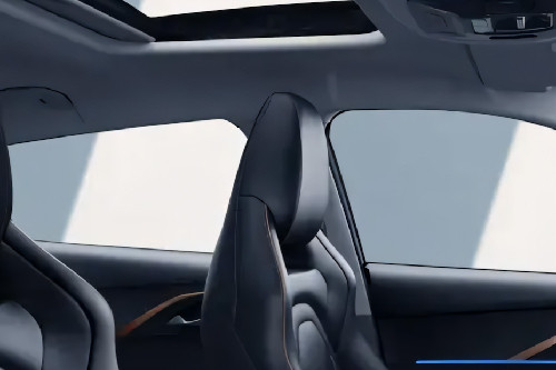 C5 Front Seat Headrest