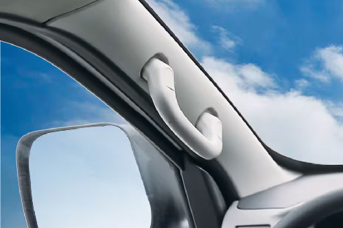 FOTON View Inside Handle