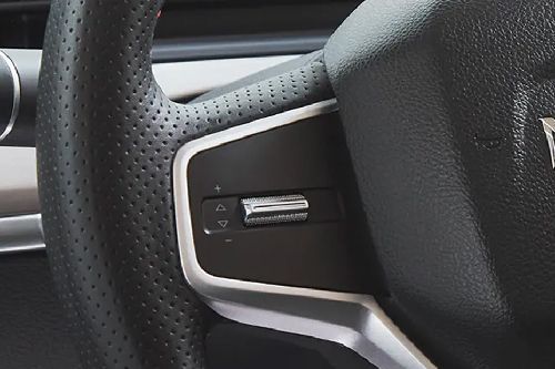 NETA V Multi Function Steering