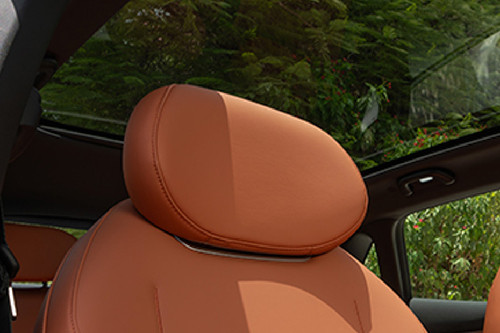 S05 Front Seat Headrest