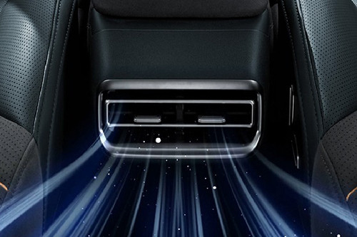 G318 Rear AC Controls