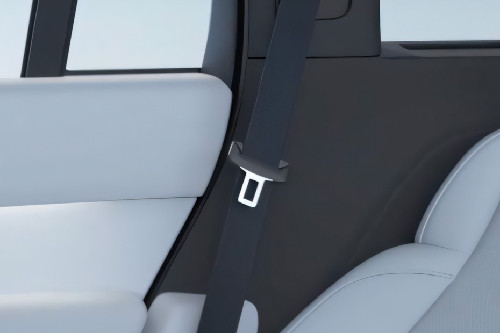 L9 Seat Belt