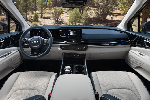 Dashboard View of Carnival