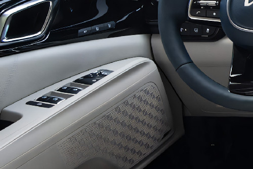 KIA Carnival Drivers Side In Side Door Controls