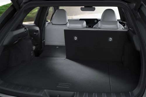 UX Trunk Open