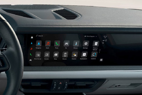 Stereo View of Cayenne