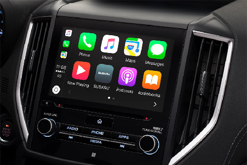 Stereo View of Forester