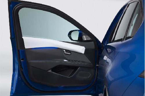BMW i3 Inside Of Drivers Side Open Door