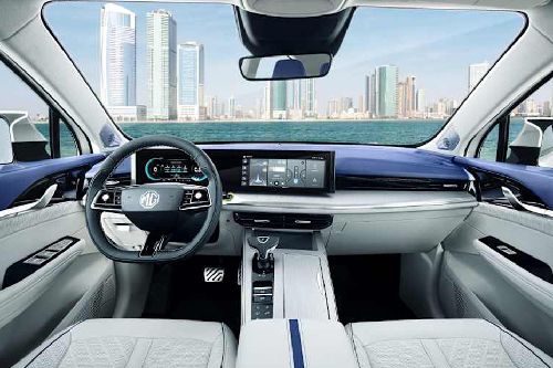 Dashboard View of Whale