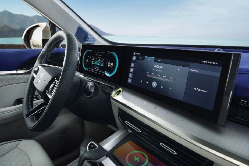 Stereo View of Whale