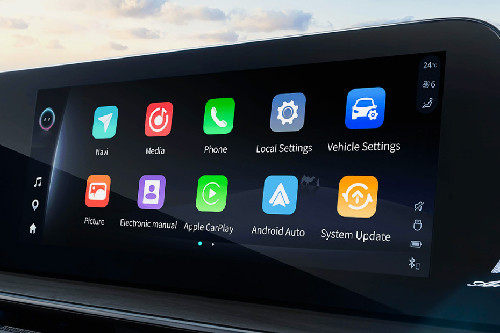 Stereo View of Arrizo 8