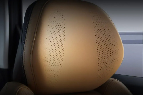 Starray Front Seat Headrest