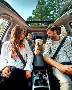 Family Cars